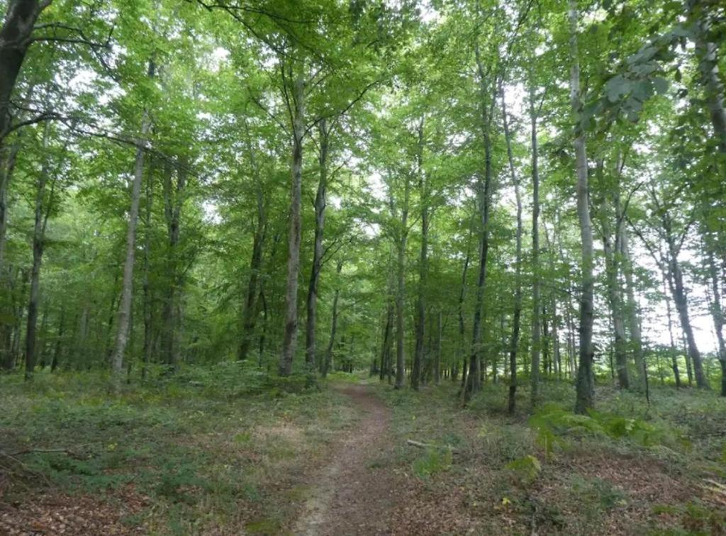 L'Authentique Tonneau A Cidre D'Emma Villa Litteau Kültér fotó