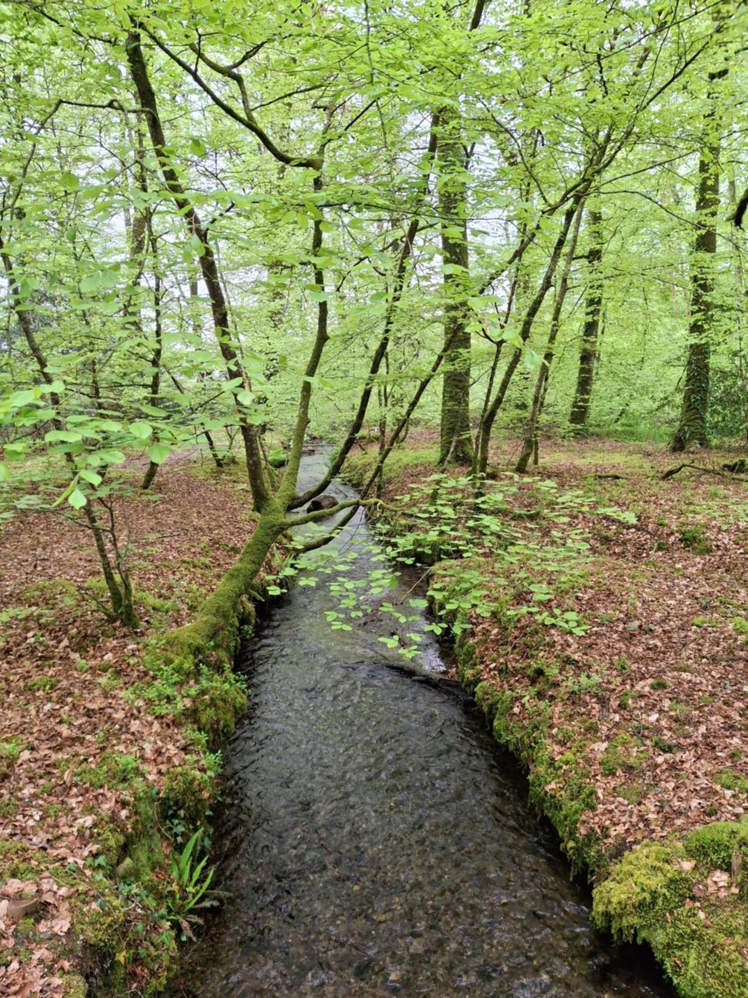 L'Authentique Tonneau A Cidre D'Emma Villa Litteau Kültér fotó